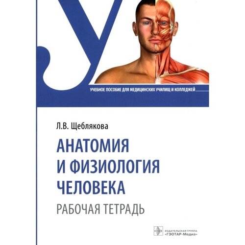 Анатомия и физиология человека. Щеблякова Л. В.