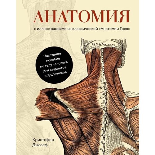 Анатомия. С иллюстрациями из классической «Анатомии Грея»Джозеф К.