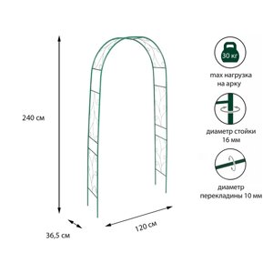 Арка садовая, разборная, 240 120 36.5 см, металл, зелёная, «Веточка», Greengo