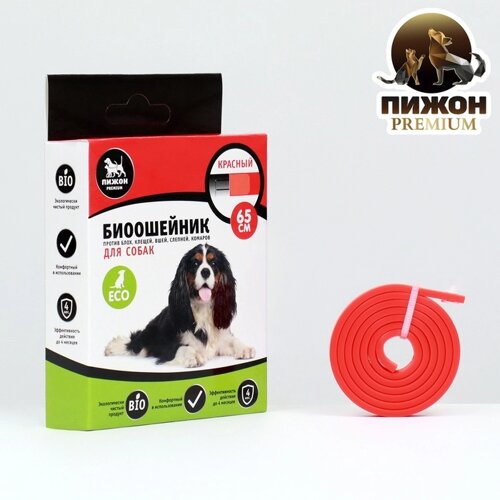 Биоошейник от паразитов "Пижон Premium" для собак, красный, 65 см
