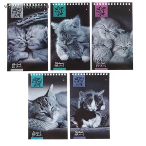 Блокнот А5, 40 листов на гребне "Кошки", МИКС