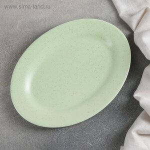 Блюдо фарфоровое Доляна «Амелия», 24,518 см см, цвет зелёный