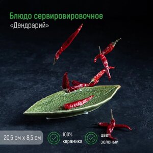 Блюдо керамическое сервировочное «Дендрарий», 20,58,51,5 см, цвет зелёный