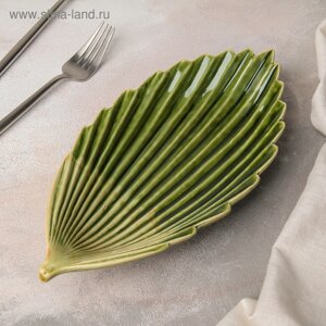 Блюдо керамическое сервировочное «Дендрарий», 27134 см, цвет зелёный