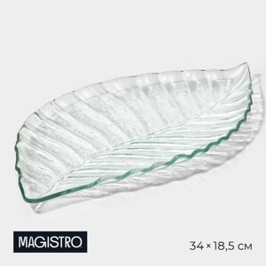 Блюдо стеклянное сервировочное Magistro «Лист», 3418,51,9 см, цвет прозрачный