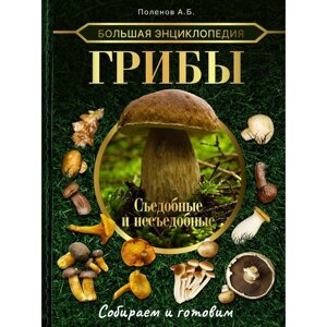 Большая энциклопедия. Грибы. Съедобные и несъедобные. Собираем и готовим. Поленов А. Б.