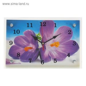 Часы-картина настенные, серия: Цветы, "Сиреневые цветы", 20х30 см