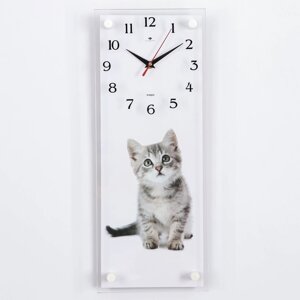 Часы-картина настенные, серия: Интерьер, "Все любят котиков", 20 х 50 см
