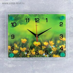 Часы настенные: Цветы, "Лето", 20х26 см
