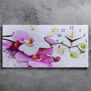 Часы настенные, на холсте, серия: Цветы, "Орхидеи", 40 х 76 см, d-27 см