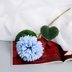 Цветы искусственные "Георгин кактусовый" d-12 см 55 см, голубой