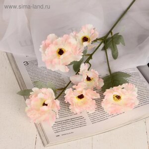 Цветы искусственные "Космея махровая" 8х58 см, белый с розовым