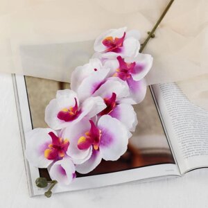 Цветы искусственные "Орхидея молди" 9х66 см, бело-фиолетовый