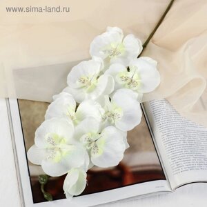 Цветы искусственные "Орхидея молди" 9х66 см, белый