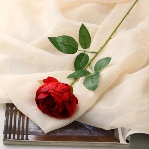 Цветы искусственные "Роза Эстетика" 7х65 см, бордовый