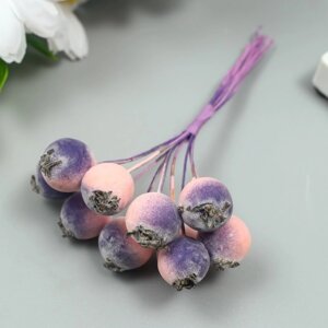 Декор для творчества "Ягодка рябины" 1 букет=10 ягод розово-фиолетовый иней 10х1,5 см
