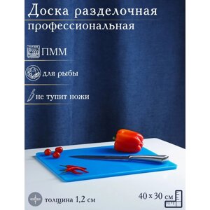 Доска профессиональная разделочная Доляна, 40301,2 см, цвет синий