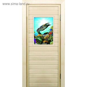 Дверь для бани со стеклом (40*60) Черепаха-2", 18070см, коробка из осины