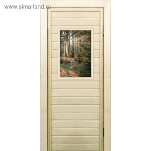 Дверь для бани со стеклом (40*60) Хвойный лес", 19070см, коробка из осины