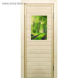 Дверь для бани со стеклом (40*60) Лес", 18070см, коробка из осины