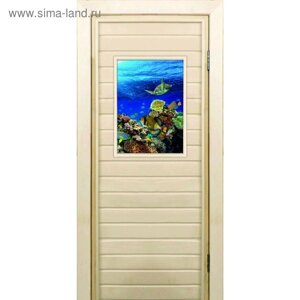 Дверь для бани со стеклом (40*60) Морской мир", 17070см, коробка из осины