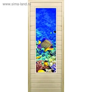 Дверь для бани со стеклом (43*129) Кораллы-3", 17070см, коробка из осины