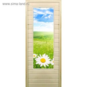 Дверь для бани со стеклом (43*129) Ромашки", 18070см, коробка из осины