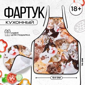 Фартук кухонный «Коты», полноцветный