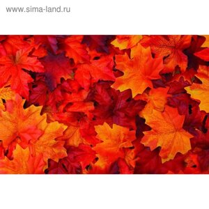 Фотобаннер, 250 200 см, с фотопечатью, люверсы шаг 1 м, «Осенние листья»