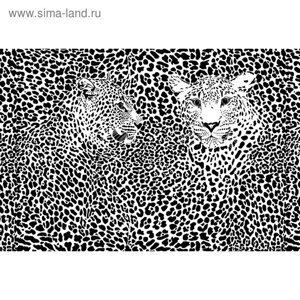 Фотообои "Черно-белые леопарды" M 404 (4 полотна), 400х270 см