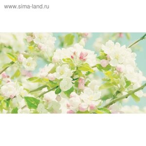 Фотообои "Цветение яблони" 2-А-284 (1 полотно), 270x150 см