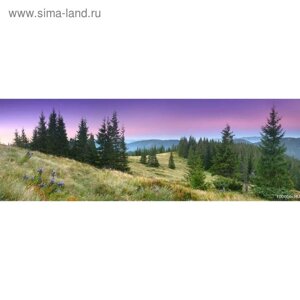 Фотообои "Фиолетовый закат" 3-А-329 (1 полотно), 440x150 см