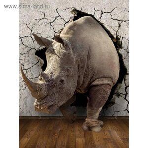 Фотообои флизелиновые 3D Flizetto "Носорог в стене" 200х270