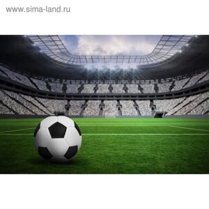 Фотообои "Футбол" M 388 (3 полотна), 300х200 см