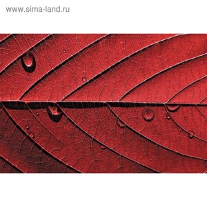 Фотообои "Красный лист" M 613 (2 полотна), 200х135 см