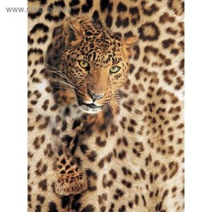 Фотообои "Леопард" M 216 (2 полотна), 200х270 см