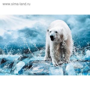 Фотообои "Медведь во льдах" M 706 (3 полотна), 300х200 см