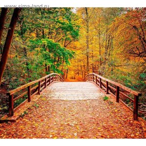 Фотообои "Мост в осенний парк" 6-А-606 (2 полотна), 300x270 см