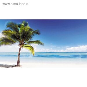 Фотообои "Океан, пальма, белый пляж" 2-А-216 (1 полотно), 270x150 см