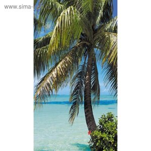 Фотообои "Пальма на фоне океана" 1-А-104 (1 полотно), 150х270 см