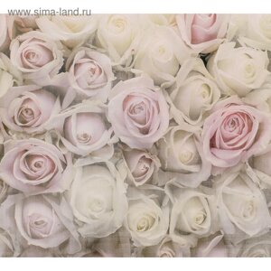 Фотообои "Розовая нежность" M 318 (3 полотна), 300х270 см