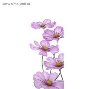 Фотообои "Сиреневые цветы" С-056 (1 полотно), 95x220 см