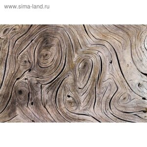 Фотообои "Текстура дерева" M 622 (2 полотна), 200х135 см