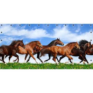 Фотосетка, 314 155 см, с фотопечатью, люверсы шаг 0.3 м, «Бегущие лошади»