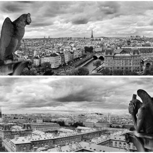 Фотосетка, из двух полотен по 320 155 см, с фотопечатью, «Вид на Париж»