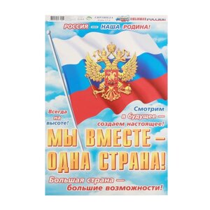 Гирлянда с плакатом "Любимая Россия! флаг, длина 250 см, А3