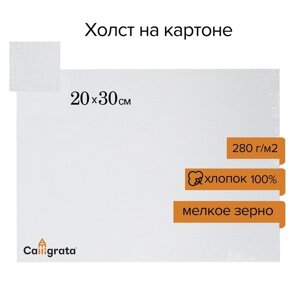 Холст на картоне Calligrata, хлопок 100%20 х 30 см, 3 мм, акриловый грунт, мелкое зерно, 280 г/м2