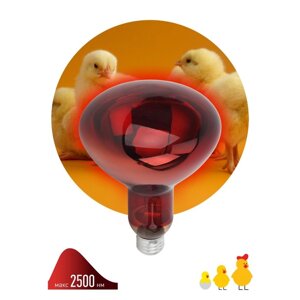 Инфракрасная лампа ЭРА ИКЗК 230-150 R127 кратность 1 шт Е27 / E27 для обогрева животных и освещения