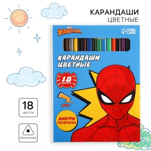 Карандаши цветные 18 цветов, "Супер-мен", Человек-Паук