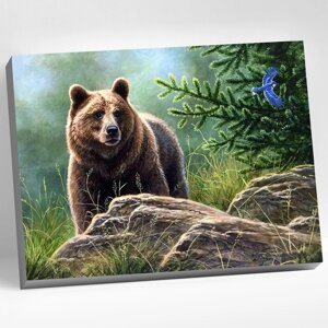 Картина по номерам 40 50 см «Сибирский бурый медведь» 20 цветов